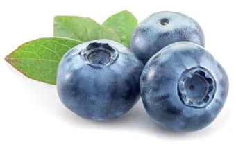 IQF Blueberries