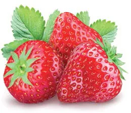 IQF Strawberries
