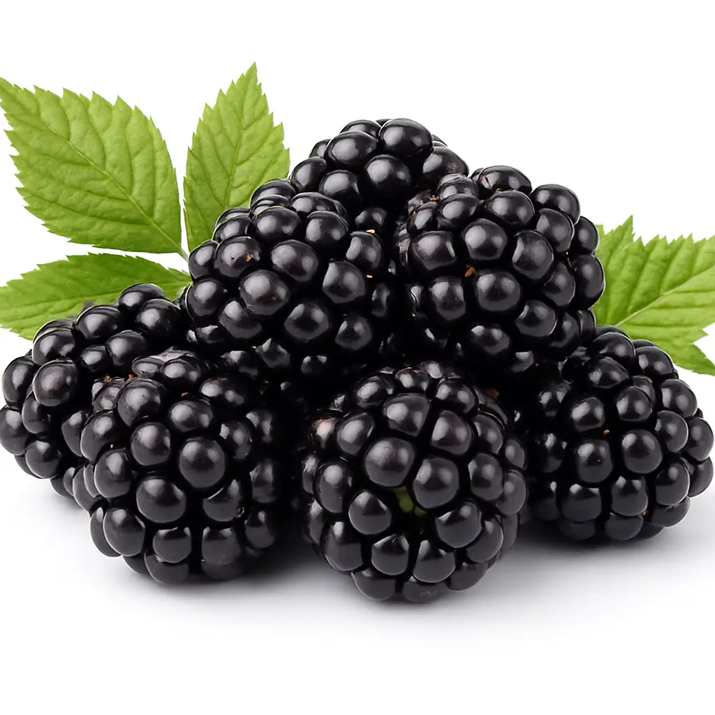 IQF Blackberries