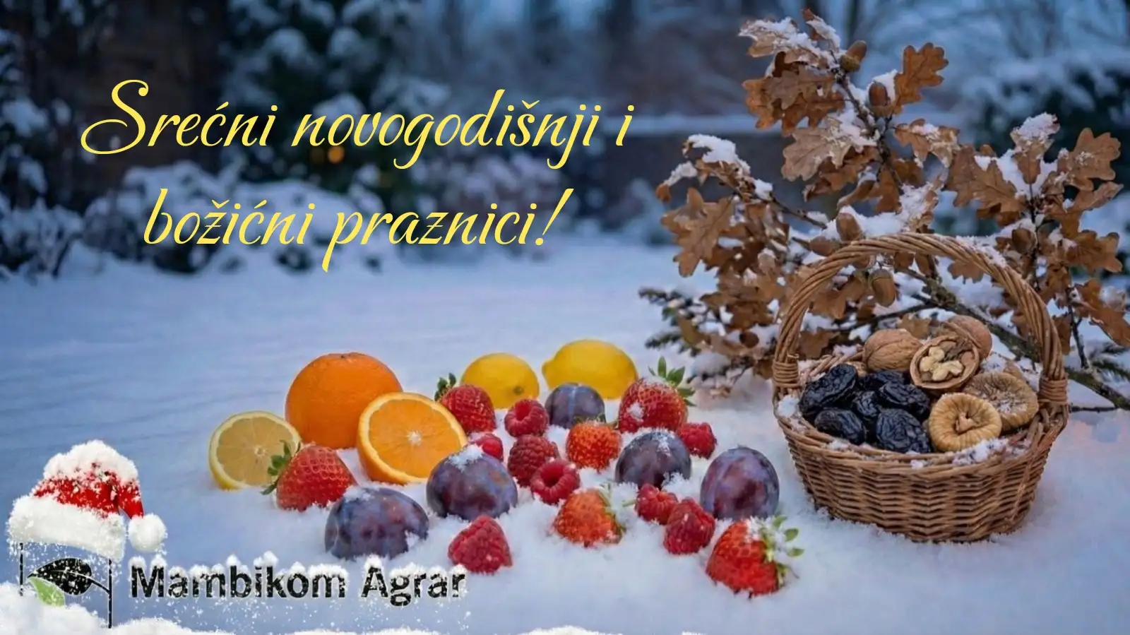 Novogodišnja čestitka