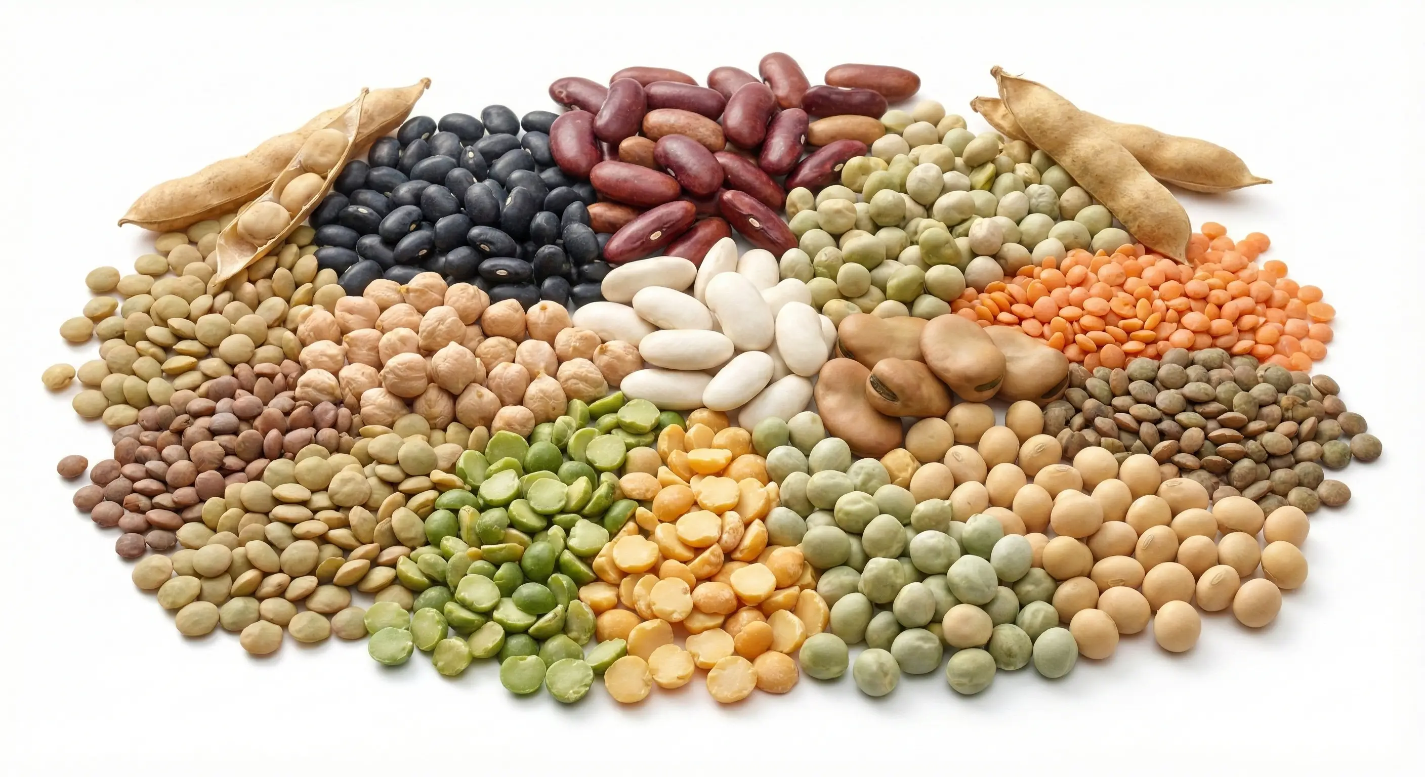 Explore our legumes products